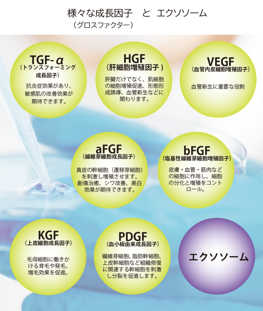 ヒト幹細胞培養上清液（エクソソーム含有液）投与 - 北青山Dクリニック 