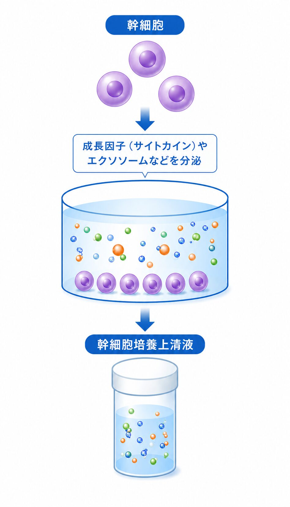 ヒト幹細胞培養上清液（エクソソーム）投与 - 北青山Dクリニック